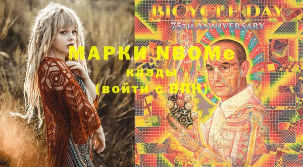 стаф Аркадак