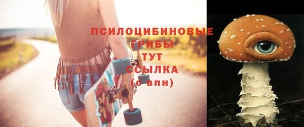 стаф Аркадак