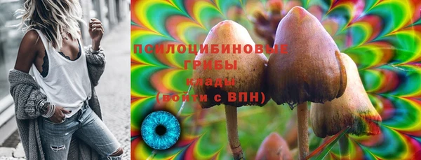 стаф Аркадак