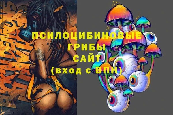 стаф Аркадак
