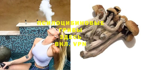 стаф Аркадак