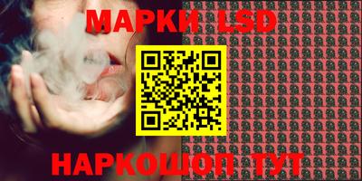 индика Моздок