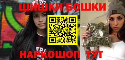 индика Моздок