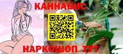 индика Моздок