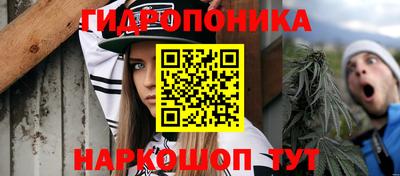 индика Моздок