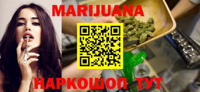 индика Моздок